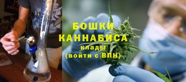 амф Елабуга