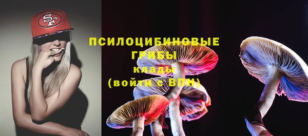 амф Елабуга