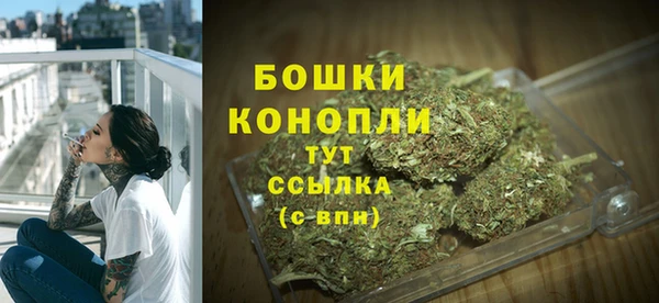 амф Елабуга