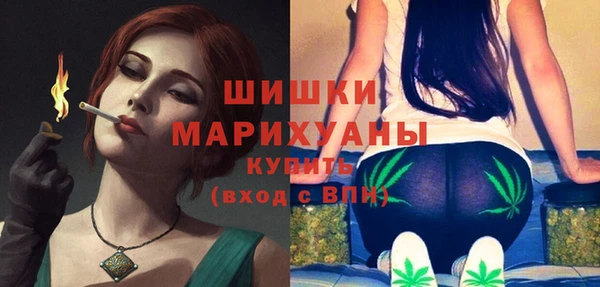 mdma Ельня